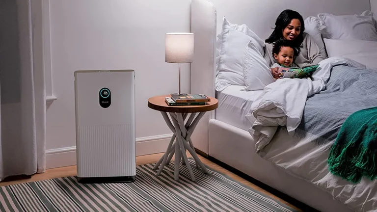 Read more about the article The Top 5 Air Purifiers Transforming India’s Urban Living