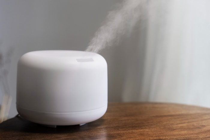 Read more about the article Breath of Fresh Air: Choosing the Right Air Purifier for Your Home